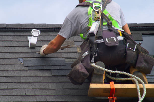 Best Rubber Roofing (EPDM, TPO)  in Capac, MI